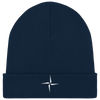 French Navy